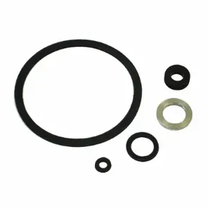 PARKER Viton Gasket Seal Set Gasket Set Viton For B Housings | AE9ZHF 6PAU7