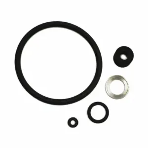 PARKER Viton O-Ring Seal Set Viton O-ring Seal Set, For Use With BSSB Housing | AE9ZHE 6PAU6