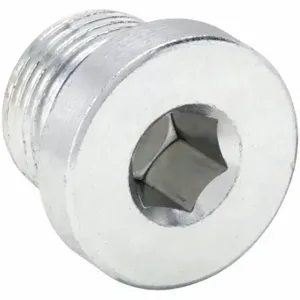 PARKER VSTI3/8EDEPDMCF Hollow Hex Plug, Steel, 3/8 Inch Fitting Pipe Size, Male Metric | CT7GAD 60VC54