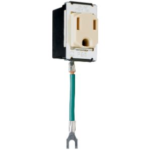 PASS AND SEYMOUR 1433 Despard Receptacle, Ivory | CH4CQX