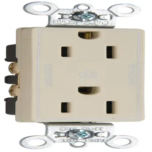 PASS AND SEYMOUR 26252-CDI Duplex Receptacle, Dual Controlled Plug Load, 15A, Ivory | CH4CGR