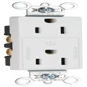 PASS AND SEYMOUR 26252CHW Duplex Receptacle, Half Controlled Plug Load, 15A, White | CH4CHC