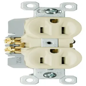 PASS AND SEYMOUR 3232-SI Duplex Receptacle, 15A/125V, Ivory | CH3ZAP