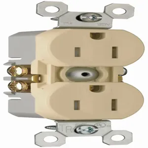 PASS AND SEYMOUR 3232TRSI Tamper Resistant Duplex Receptacle, Self Grounding, 15A/125V, Ivory | CH3ZAW