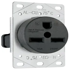 PASS AND SEYMOUR 3801 Receptacle, Power Outlet, 250V | CH4HTA