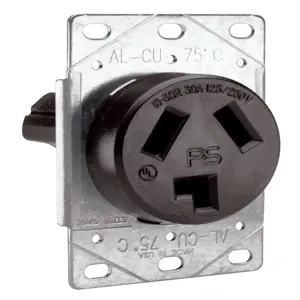 PASS AND SEYMOUR 3860 Receptacle, Power Outlet, 125V | CH4HRT