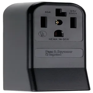 PASS AND SEYMOUR 3884 Receptacle, Power Outlet, 125V | CH4HRX