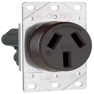 PASS AND SEYMOUR 3890 Receptacle, Power Outlet, 125V | CH4HRN