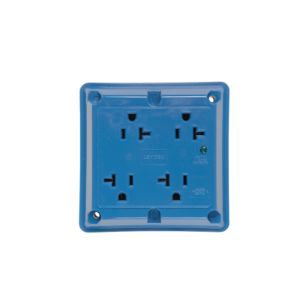 PASS AND SEYMOUR 420-BLSP Vierfachsteckdose, 125 V, blau | CH4KGY