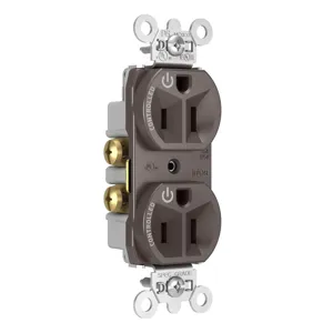 PASS AND SEYMOUR 5262CD Duplex Receptacle, Dual Controlled Plug Load, 15A, 125V, Brown | CH3YWV