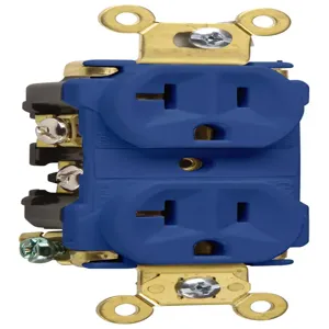 PASS AND SEYMOUR 5362-ABL Extra Heavy Duty Duplex Receptacle, Spec Grade, 20A, 125V, Blue | CH4ECT