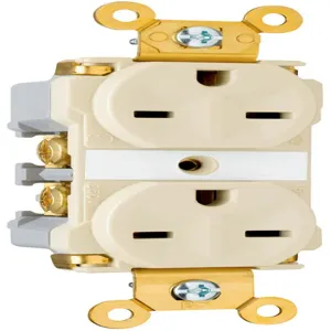 PASS AND SEYMOUR 5662-AI Extra Heavy Duty Duplex Receptacle, Spec Grade, 15A, 250V, Ivory | CH4ECP