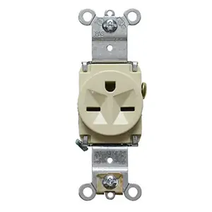 PASS AND SEYMOUR 5671-I Single Receptacle Spec Grade, Heavy Duty, 15A, 250V, Ivory | CH4DUQ