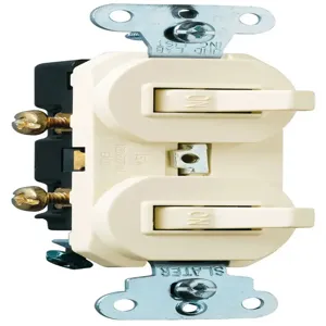 PASS AND SEYMOUR 696-LAG Combination Switch, 15A, 0.43V | CH4BYP