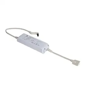 PASS AND SEYMOUR ALSLDR60TM1 LED Dimmable Driver, 10 Feet Length Expandable Light Strip, 60W | CH4ALK