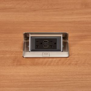 PASS AND SEYMOUR DQFF20UST USB Charger Receptacle, Single Flip, with USB | CH4DDF