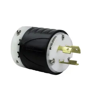 PASS AND SEYMOUR L620-PGCM Ground Continuity Monitoring Plug, Black And White, 20A, 250V | CH4DPU