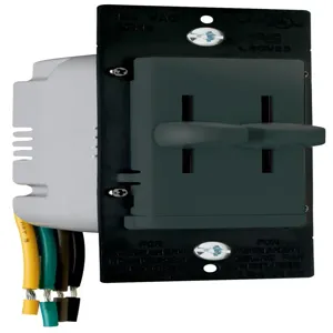 PASS AND SEYMOUR LSDD300-BK Incandescent Dimmer, 120V, Dual Slide, Black | CH4ETV