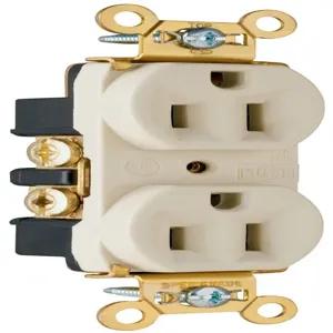 PASS AND SEYMOUR PS5262-I Heavy Duty Duplex Receptacle, Spec Grade, 15A, 125V, Ivory | CH4DTJ