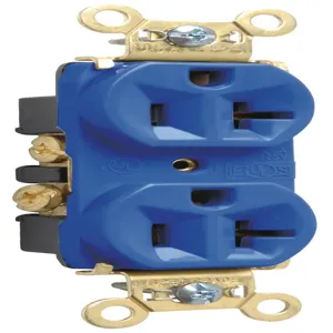 PASS AND SEYMOUR PS5362-BL Heavy Duty Duplex Receptacle, Spec Grade, 20A, 125V, Blue | CH4DTT