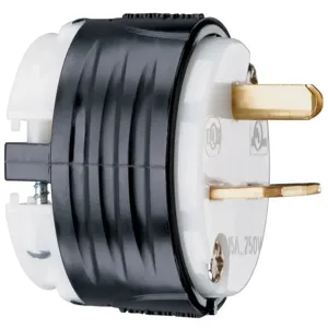 PASS AND SEYMOUR PS5666-X Straight Blade Plug, 15A, 250V, Black And White | CH3YZB