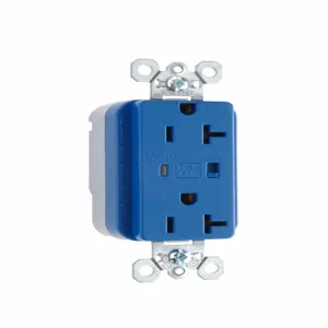 PASS AND SEYMOUR PT5362-BLSP Extra Heavy Duty Duplex Receptacle, Surge Protective, Blue | CH4GXH