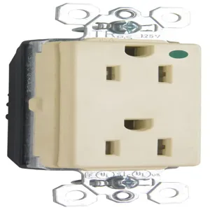 PASS AND SEYMOUR PTTR26262-HGI Duplex Receptacle, 15A, 125V, Tamper Resistant, Ivory | CH4HNZ