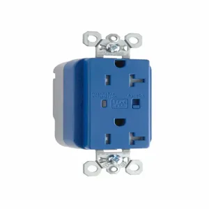 PASS AND SEYMOUR PTTR5362-BLSP Duplex Receptacle, 125V, Tamper Resistant, Surge Protective, Blue | CH4HMU