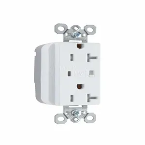 PASS AND SEYMOUR PTTR5362-WSP Duplex Receptacle, 125V, Tamper Resistant, Surge Protective, White | CH4HMZ