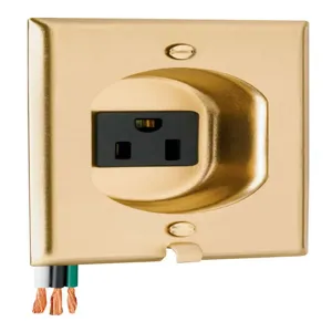 PASS AND SEYMOUR S3733 Clock Hanger Receptacles, Recessed with Brass Wall Plate, 15A, 125V | CH4BMT