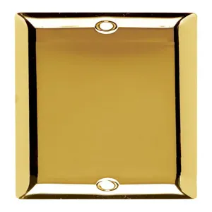 PASS AND SEYMOUR SB13-PB Blank Wall Plate, Box Mounted, 1 Gang, Polished Brass | CH4BGE