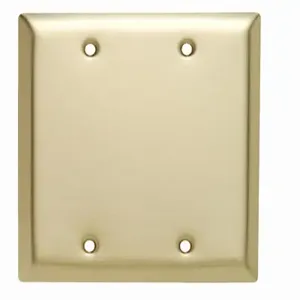 PASS AND SEYMOUR SB23 Blank Wall Plate, Box Mounted, 2 Gang, Brass | CH4BGZ