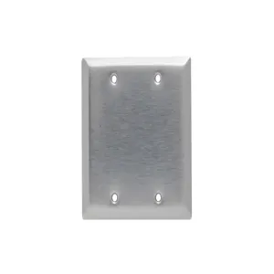 PASS AND SEYMOUR SL23 Blank Wall Plate, Box Mounted, 2 Gang, 430 Stainless Steel | CH4BGW