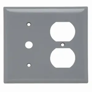 PASS AND SEYMOUR SP128-GRY Combination Opening Wall Plate, 1 Telephone And 1 Duplex Receptacle, 2 Gang | CH4BRF