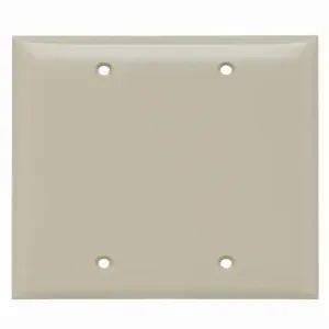 PASS AND SEYMOUR SP23-I Blank Wall Plate, Box Mounted, 2 Gang, Ivory | CH4BHF