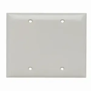 PASS AND SEYMOUR SP23-LA Blank Wall Plate, Box Mounted, 2 Gang, Light Almond | CH4BHJ