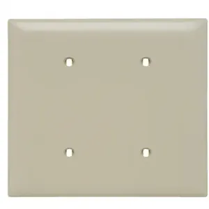 PASS AND SEYMOUR SP24-I Blank Wall Plate, Strap Mounted, 2 Gang, Ivory | CH4BJV