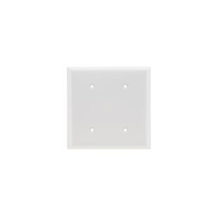 PASS AND SEYMOUR SP24-W Blank Wall Plate, Strap Mounted, 2 Gang, White | CH4BJZ