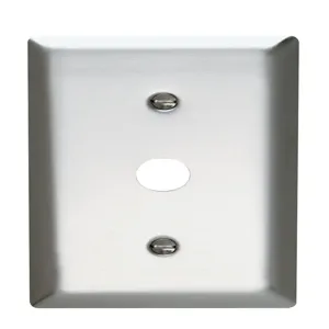 PASS AND SEYMOUR SS12 Communication Plate, 1 Gang, Stainless Steel | CH4CBR