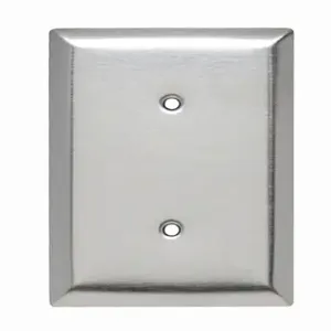 PASS AND SEYMOUR SSO14 Blank Wall Plate, Strap Mounted, 1 Gang, 302/304 Stainless Steel | CH4BHU