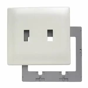 PASS AND SEYMOUR SWP2-LA Wall Plate, 2 Gang, Light Almond | CH4MTZ