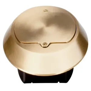 PASS AND SEYMOUR TM1542-TRCF Floor Box Cover, Tamper Resistant, Brass | CH4LHD