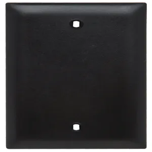 PASS AND SEYMOUR TP13-BK Blank Wall Plate, Box Mounted, 1 Gang, Black | CH4BFT