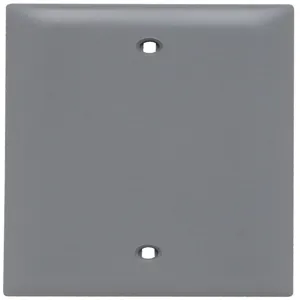 PASS AND SEYMOUR TP13-GRY Blank Wall Plate, Box Mounted, 1 Gang, Gray | CH4BFY