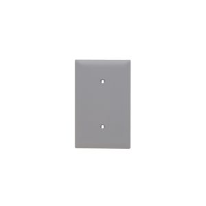 PASS AND SEYMOUR TP14-GRY Blanko-Wandplatte, Riemenmontage, 1 Gang, Grau | CH4BHZ