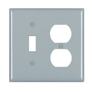 PASS AND SEYMOUR TP18-GRY Kombinations-Wandplatte mit Öffnung, 1 Kippschalter und 1 Duplex-Steckdose, 2-fach | CH4BUR
