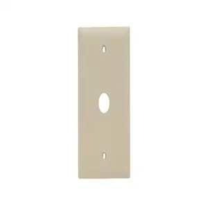 PASS AND SEYMOUR TP60-I Communication Plate, 1 Gang, Ivory | CH4CCH