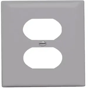 PASS AND SEYMOUR TP8-GRY Wall Plate, Duplex Receptacle Opening, 1 Gang, Gray | CH4CVC