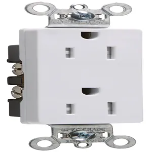 PASS AND SEYMOUR TR26242-W Duplex Receptacle, 15A, 125V, Tamper Resistant, White | CH4MNR