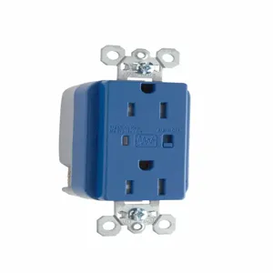 PASS AND SEYMOUR TR5262-BLSP Extra Heavy Duty Duplex Receptacle, Tamper Resistant, Surge Protective Blue | CH4LGK